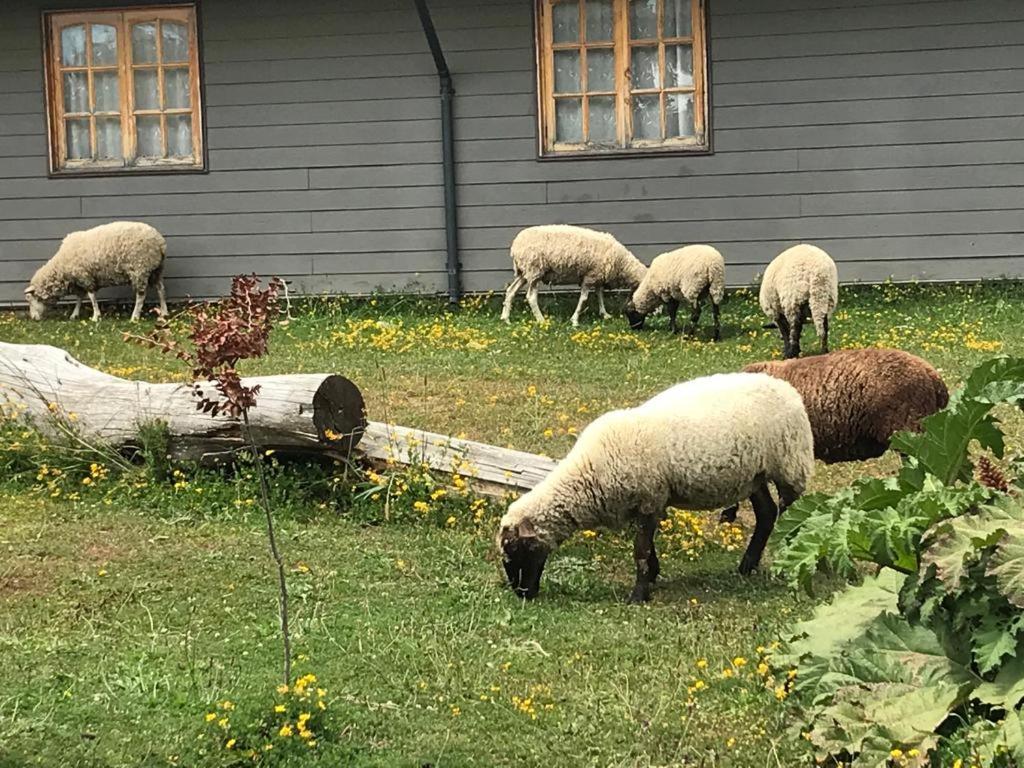 Parque La Pajarera Hotel Puerto Varas Eksteriør billede