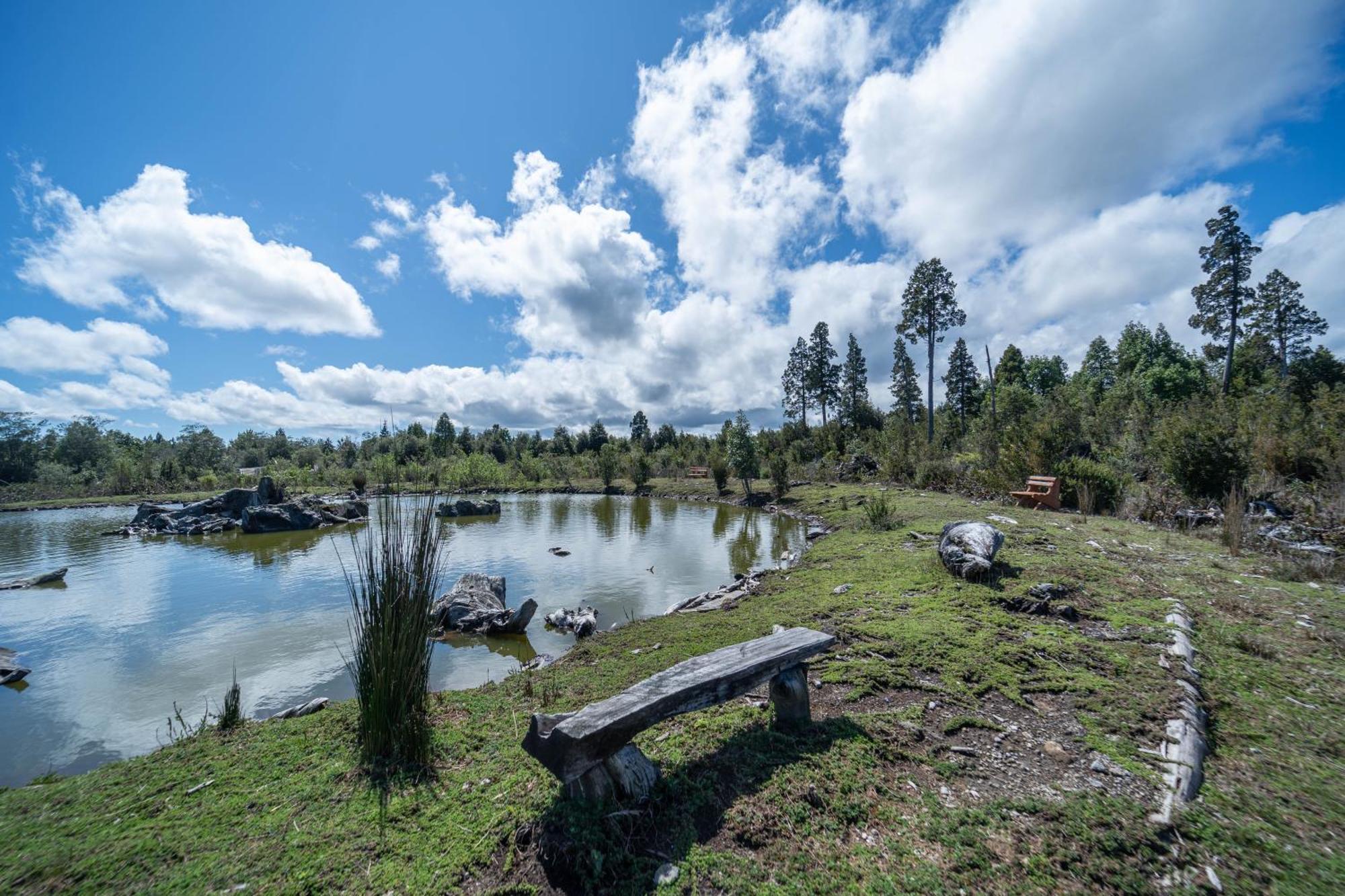 Parque La Pajarera Hotel Puerto Varas Eksteriør billede